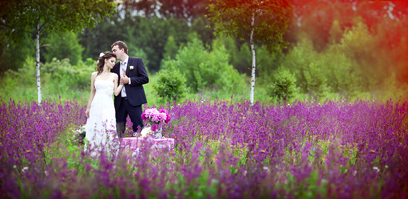 романтическая свадебная фотография в поле, цветы жених и невеста, свадебная фотография на природе
